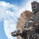 British Ironworks Knife angel, sponsored by ChadStone